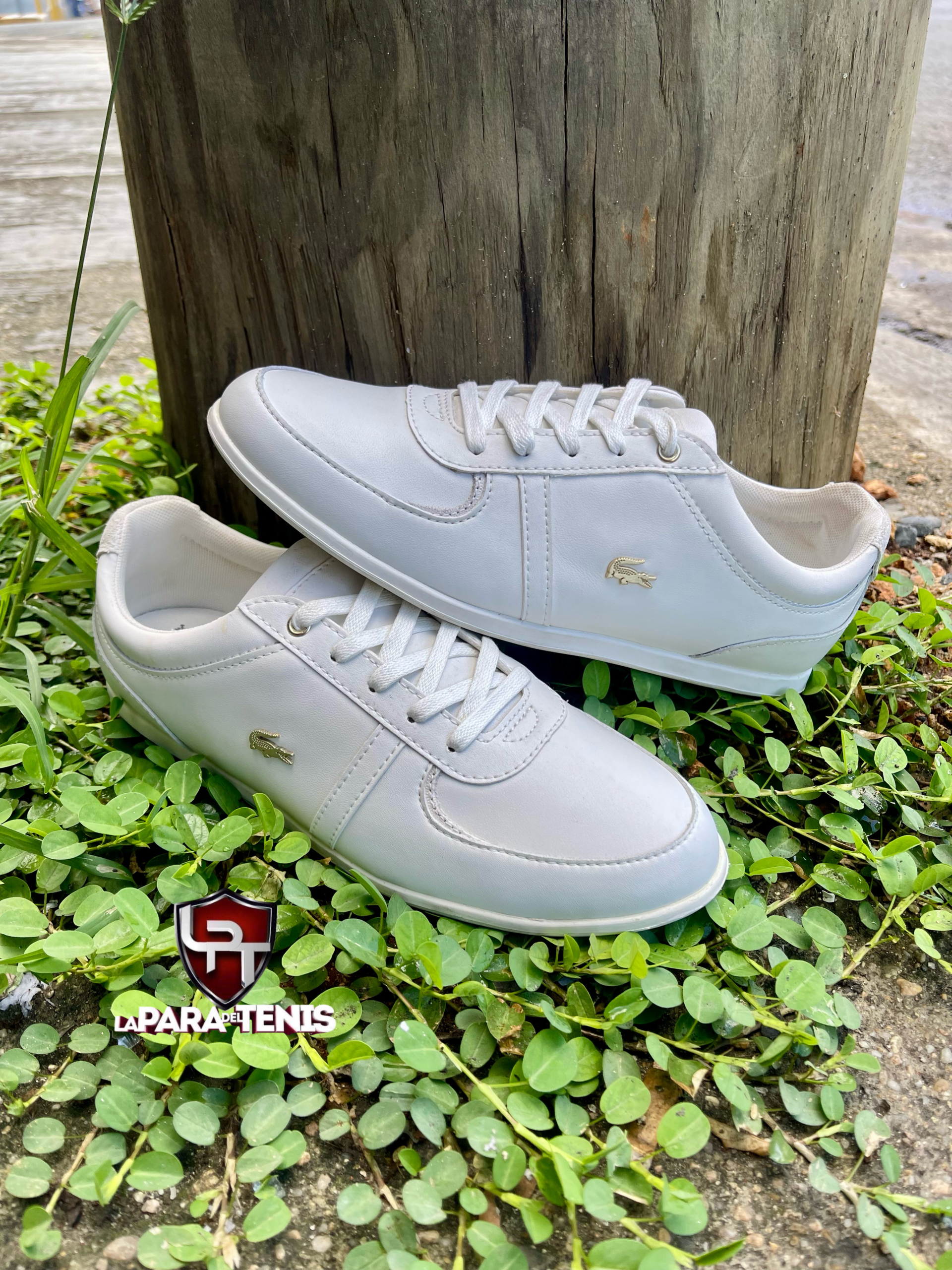 C4F02299-AA69-4C3E-A1F0-7733517DC432