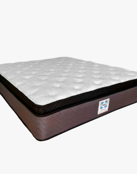 Sealy | Backsaver