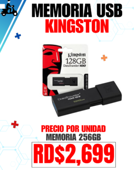 MEMORIA USB KINGSTON 256GB